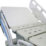Paralyzed Patient Elderly Electric Hospital Home Nursing Medical Bed With