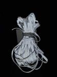 Colorful Reflective Webbing Piping Rope High Visibility Garment Sportswear