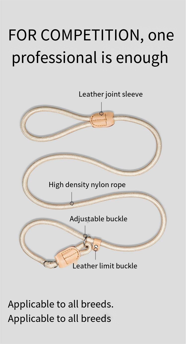 Mesh Dog Leash Training Dog P Chain Flush Adjustable Dog Leash