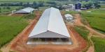 Steel Structure Cow House Design Cow Farm House Farm Shed Steel Structure