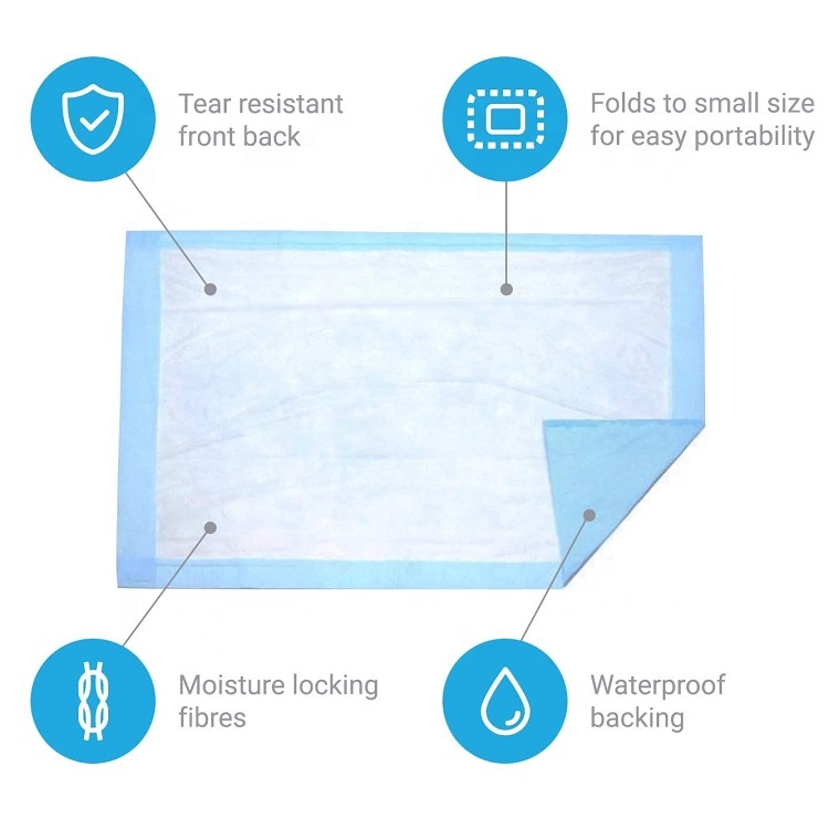 Waterproof Blue Charcoal Pee Pads for Dogs Wee Wee Absorbent Odor Neutralizer Dog Pads