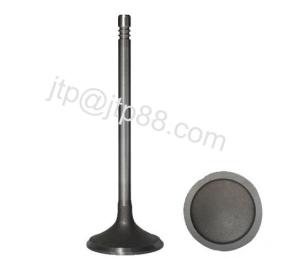 Wholesale Genuine Engine Cylinder Valve For EX100 HINO OEM 13711-1011A 13715-1011A from china suppliers
