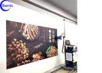 DX-10 EPSON Direct Wall Inkjet Printer