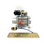 Autogas Conversion Kit Car CNG Fuel Pressure Regulator CNG Gas Regulator ISO9001