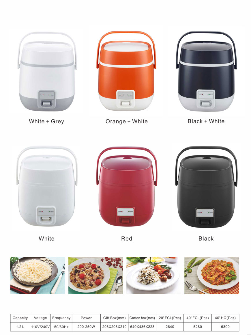 B mini cooker.jpg