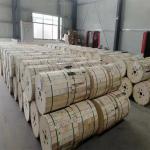 Stainless Steel OM3 OM4 Armored Fiber 6 Core G652D PVC LSZH