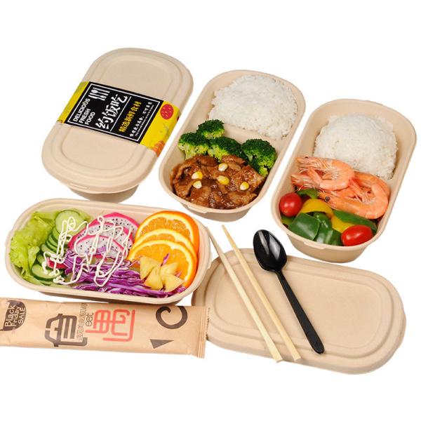 100% Compostable Food Container Sugarcane Lunch Box Bamboo Storage Boxes & Bins
