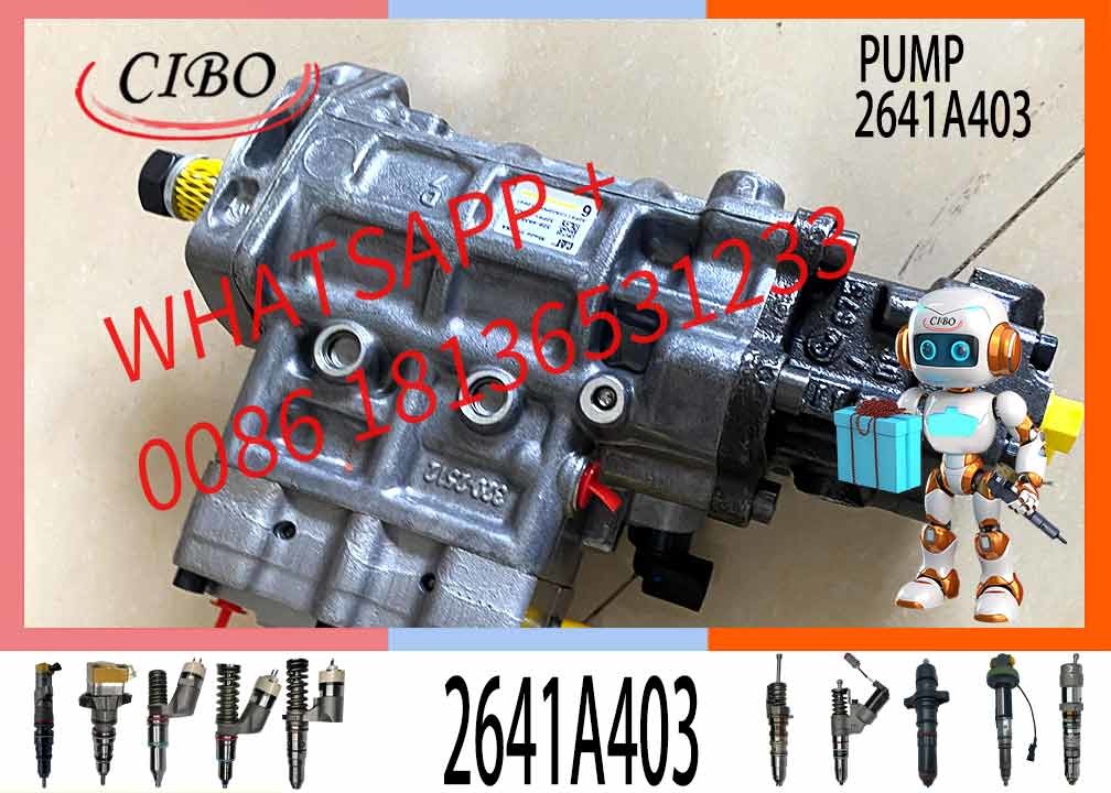 Fuel Injection Pump 2641A403 2641A405 10R-7659 3240532 10R7659 For C4.2 C4.4 C6.6