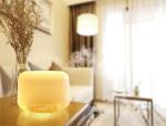 HOMEFISH Ultrasonic Aroma Humidifier Diffuser Humidistat DC 24V 0.5A