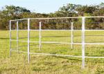 Cattle Panels System