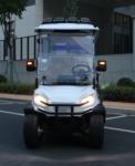 High Degree Electric Golf Cart E 3 Wheel 4 Wheel Drive Lifted Street Legal Club