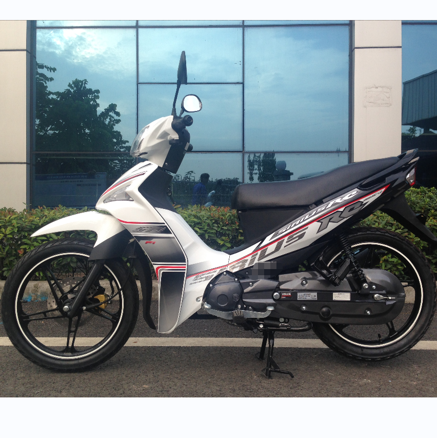 Brushless Motor ZS Engine Street Legal Mini Motorcycle High Maneuverable