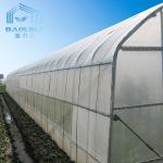 Agriculture Plastic Single Span Greenhouse With Poly Tunnel Steel Frame Double