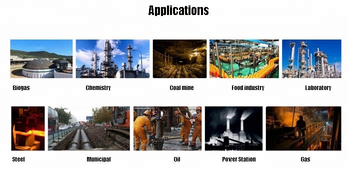 Customized K60B Portable Gas Detector Single Type With Bluetooth Function