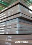 S460ML thermomechanically rolled low temperature high yield structural steel