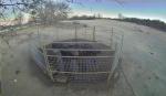 Two Door Animal Trap Cage 2.2M Collapsible Large Wild Animal Cage For Boar Wolf
