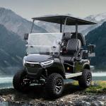 48V5KW AC Motor Off-road 4 6 Seater Electric Golf Carts Various Color Sightseein
