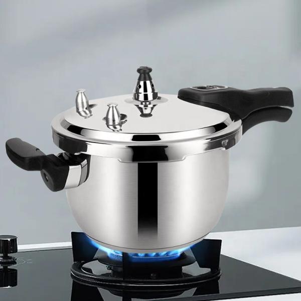Energy Saving Kitchen Pressure Cooker Gas And Induction Cooker Polished Eco