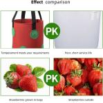 Strawberry Grow Bags, No Gauze Growing Bag, Hole Upside Down Planter Handling