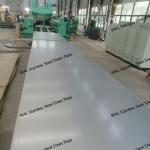 Alloy 904L / UNS N08904 / 1.4539 Stainless Steel Plate Laser Cutting Any Shape