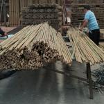 18mm To 160mm Diameter Bamboo Cane Moso Bamboo Pole Construction Agriculture