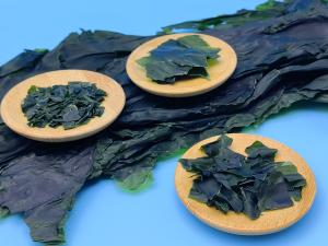 Wholesale Brown Umami Kelp Sprouts Sea Vegetable For Japanese And Korean Mall Salads And Soup from china suppliers