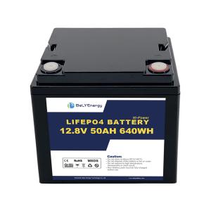Wholesale 12V 50AH LiFePo4 Battery with and Smart BMS from china suppliers