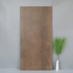 Foshan New Style Brown Color Interior Floor Tiles , 600x1200 Rustic Wall Tiles