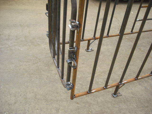 Smooth Surface Swine Gestation Stalls , Pig Breeding Equipment Light Structure