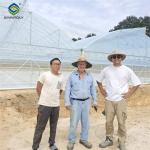 Double Po Film Gothic High Tunnel Greenhouse High Strength Anticorrosive