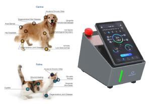 Wholesale CE Veterinary Laser Therapy Machine Painless Class Four 810nm from china suppliers