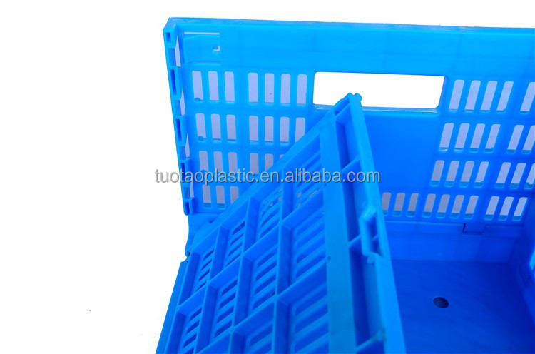 Customized Logo Blue Egg Storage Box Refrigerator for Modern Chicken Grid Drawer Type