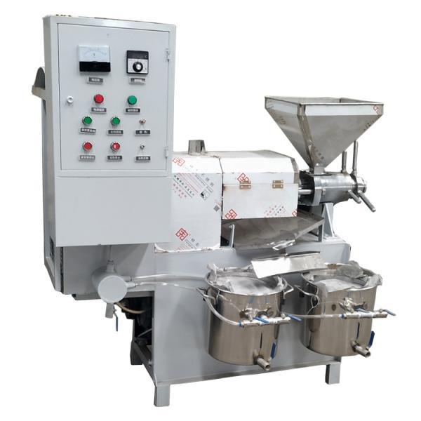 Commercial Cold and Hot Peanut Coconut Olive Oil Press Machine Oil Mill Making