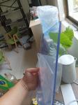 1mm 12mm 10mm Pvc Plastic Sheet For Roof