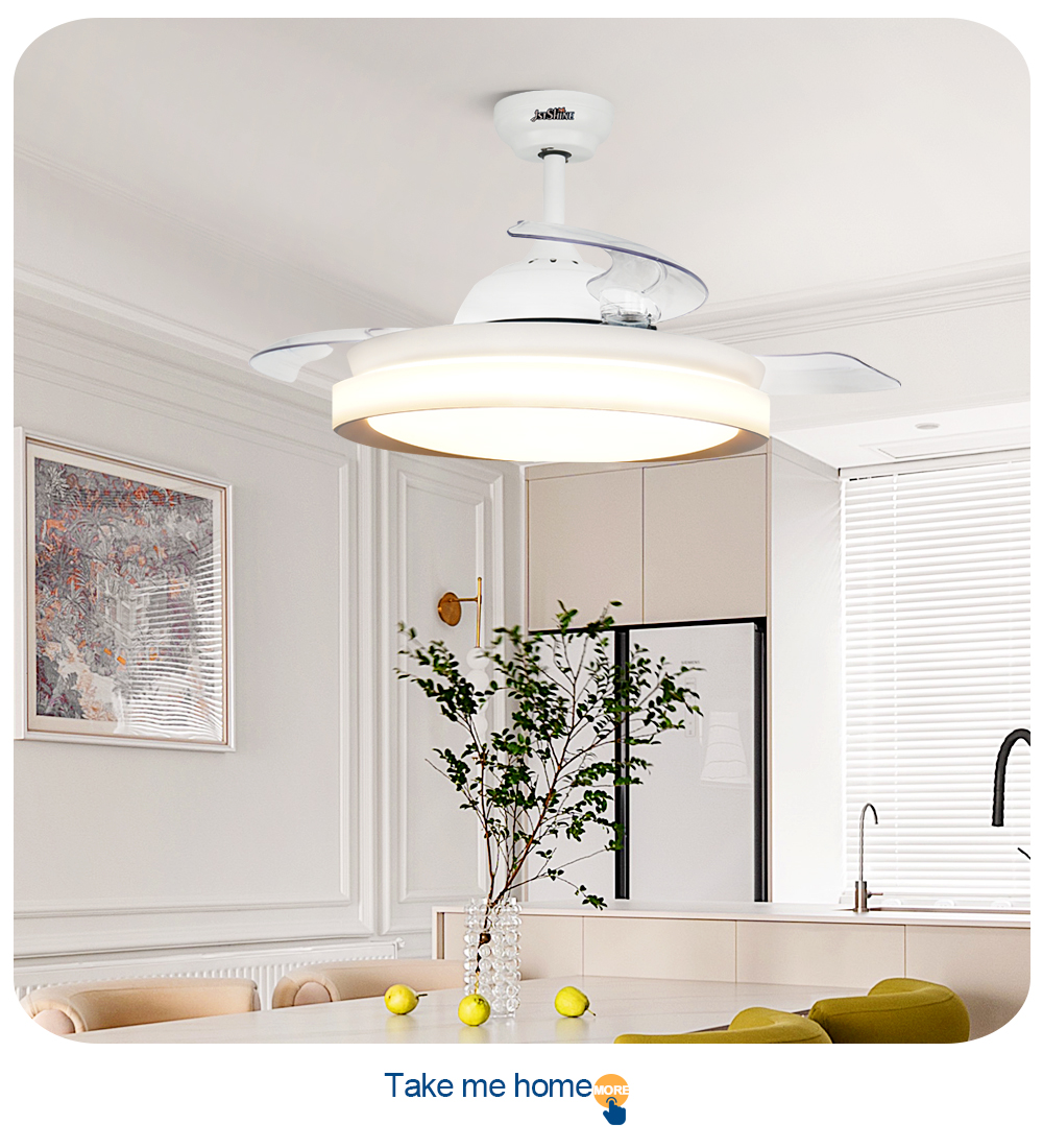 ceiling fan