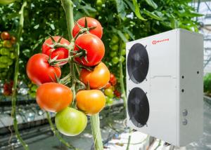Wholesale Farm Air To Water Heat Pump System Heating For Tomato Planting Greenhouse from china suppliers