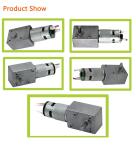 Factory High Torque Direct Sale Double Shaft Electric 12V 24V 775 Brushed Dc