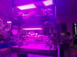 PPF 1.8umol/J LED Grow Lights APOLO 6 150W 660nm/460nm Spetrum Wide Diffusion
