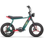 Adult Hybrid Electric Mountain Bike 8 Speed Lithium Battery power supply