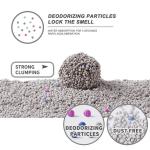 Bulk Bentonite Cat Litter Sand Customized Bentonite Premium Cat Litter
