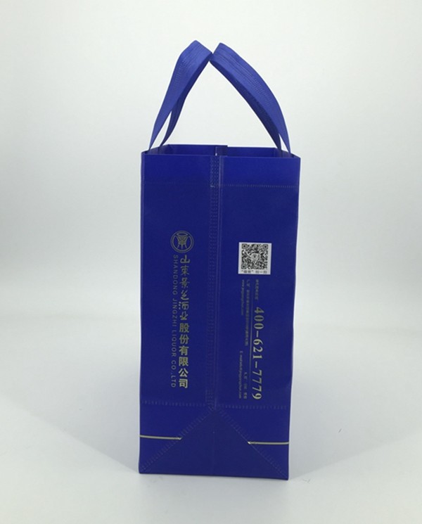 China Factory Promotional Custom Shopping PP Non Woven Bag