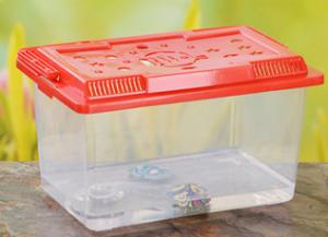 Wholesale Polyvinyl Chloride Fish Tank Mould , ISO Transparent Turtle Tank from china suppliers