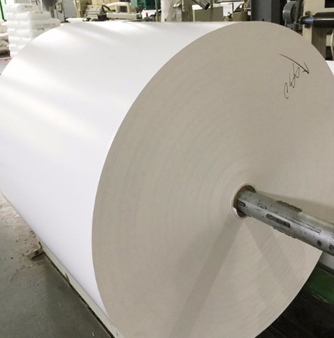 Single Double Side 10-18gsm PE Coated Paper Sheet Greaseproof