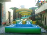 Residential Blow up Slip and Slide , Outdoor Small Inflatable Water Slides for