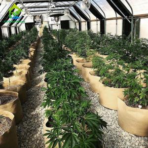 Wholesale ODM Light Dep 100% Blackout 50' X 100' Greenhouse For Seedlings from china suppliers