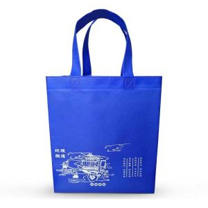 Wholesale Eco Friendly Non Woven Shopping Bags Silk Screen Non Woven Shoe Bag from china suppliers