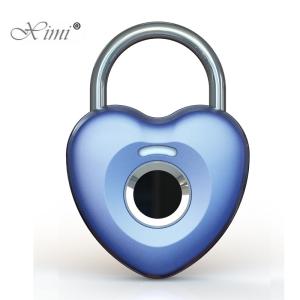 Wholesale OEM Biometric Fingerprint Door Lock , Fingerprint Scanner Door Lock Home from china suppliers