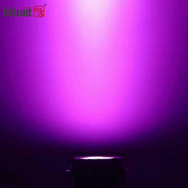Christmas Outdoor Decoration 24W LED Landscape Spotlights