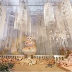 Elegant Wedding Ceiling Decoration Champagne colors Fabric String Curtain