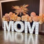 Birthday Party Celebration Marquee Numbers Light Up Marquee Letters for Home at